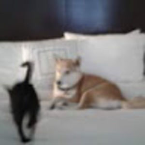 Meet your Posher, Nannette